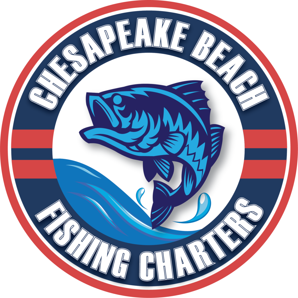 chesapeake-beach-fishing-charters-a-boat-for-all-groups-large-or-small